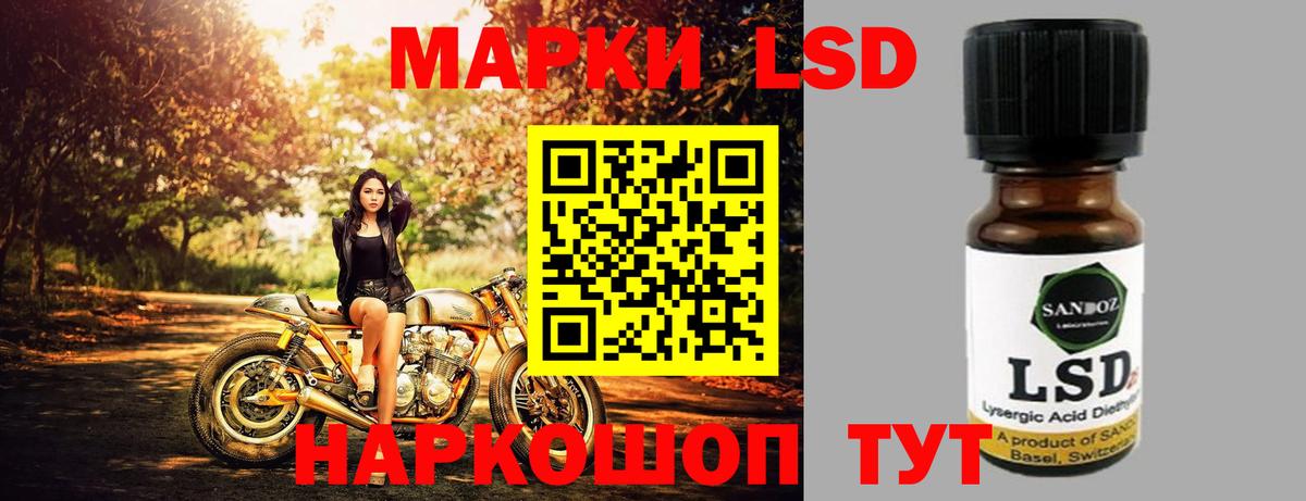 LSD-25 экстази кислота  Вход с VPN  Новозыбков  LSD-25 экстази кислота 