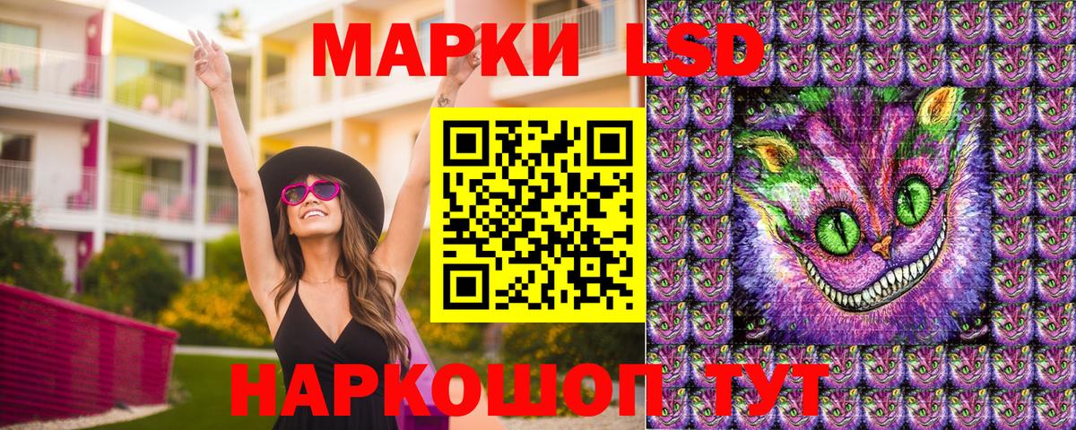 Наркотические марки 1500мкг  Наркотические марки 1500мкг  Вход с VPN  Новозыбков 