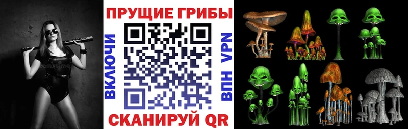 что такое   Новозыбков  Псилоцибиновые грибы прущие грибы 