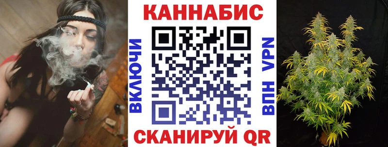 Конопля гибрид  Новозыбков 