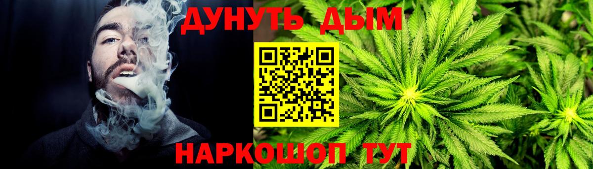 Новозыбков  Бошки Шишки марихуана  Канабис ГИДРОПОН  Вход с VPN 